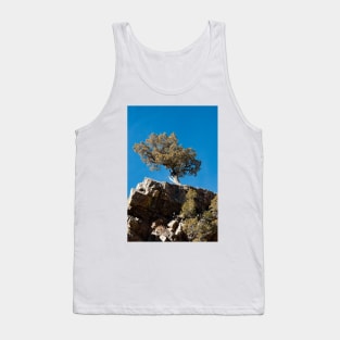 Cliff Hanger Tank Top